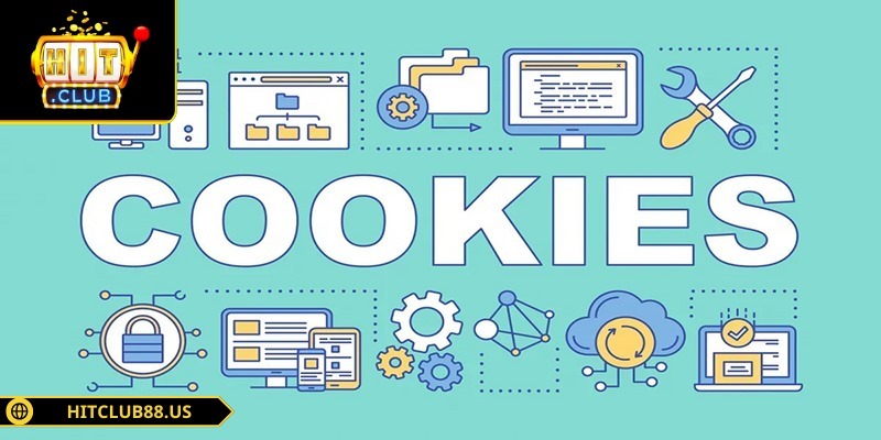 Dữ liệu thông qua Cookies được thu thập